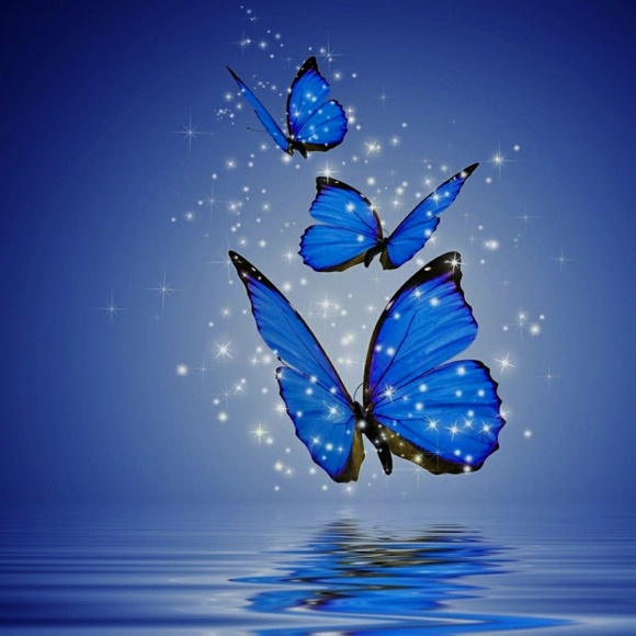 Meet your Posher, Vicky - Picture 1 of 1